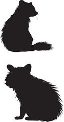Silhouette of a animal raccoon isolated on a white background