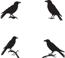 Silhouette of raven Black raven set vector on white background