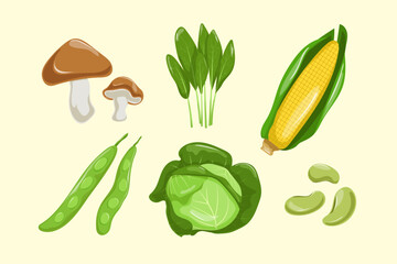 Set Collection of Vegetable Element
