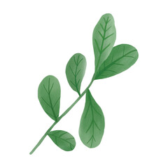 Branch with green leaves design element 