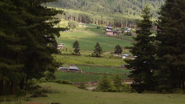 View of scenic landscape in Bhutan, view of the meadows in Phobjikha valley in Bhutan.