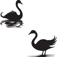 Swan vector silhouette illustration on a white background