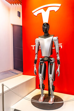 A new Tesla Optimus bot robot on display at the Tesla showroom at Santana Row, San Jose