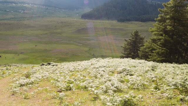 View of scenic landscape with mountains and clouds in Bhutan, view of the meadows in Phobjikha valley in Bhutan.