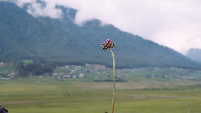 View of scenic landscape in Bhutan, view of the meadows in Phobjikha valley in Bhutan.