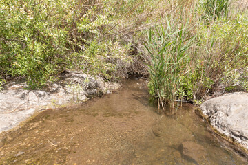 The El Al  stream flows in the El Al National Nature Reserve located in the northern Galilee in the North of Israel