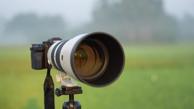 A 200-600mm zoom lens with camera on stand ready for shooting. This versatile lens is perfect for wildlife, sports, travel, nature, and landscape photography