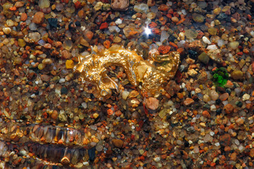 Dragon figurine made of gold or shiny yellow metal. Found on shore in shallow water. How to find treasure at bottom of sea. Dragon figurine made of gold or shiny yellow metal in shallow water