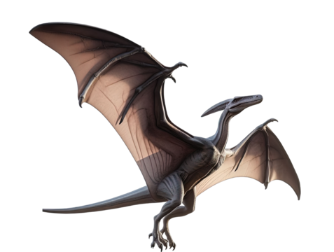 Pteranodon Isolated