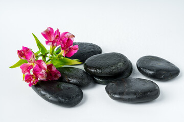 Spa stones and flowers on the white background
