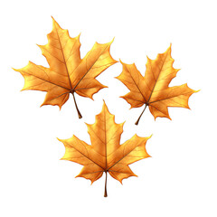 Obraz premium Maple, Leaf, Isolated, Transparent, Background, Nature, Symbol, Canada, Red, Autumn, Icon, Foliage, Symbolic, Tree, Emblem, Season, Design, Illustration, White, Object, Art, Natural, Symbolism