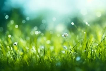 Tuinposter art abstract spring background or summer background with fresh grass. generative ai. © SEUNGJIN