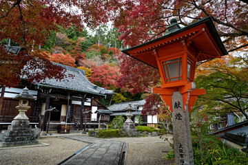 緋色の行灯と紅葉に彩られた寺院