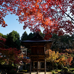紅葉が美しい神社