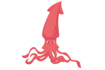 Cute Squid Character Design Illustration