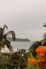 beach with palm trees