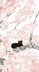 桜に黒猫