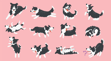 Set of Cute Cartoon Border Collie Dogs , Cartoon Dog Character Design with Flat Colors in Various Poses - obrazy, fototapety, plakaty