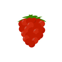 Fruit Vector