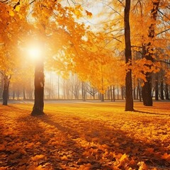 A grove adorned with autumn leaves. sunset in the background