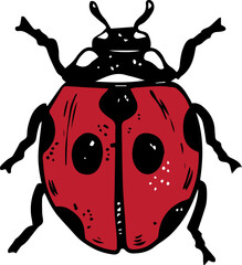 Single sketch style red ladybug illustration black lineart isolated on white background