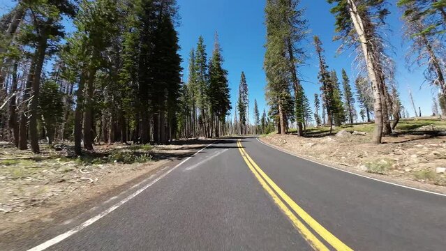 Lassen Volcanic National Park Paradise Meadow to Kings Creek Meadow Rear View 01 Driving Plates of Volcanic Legacy Scenic Byway Southbound California USA Ultra Wide