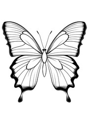 smooth butterfly outline vector art