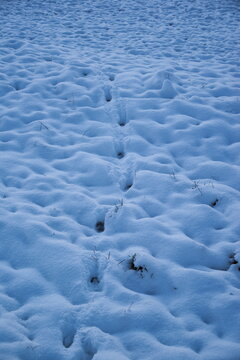 Spuren in Eis und Schnee