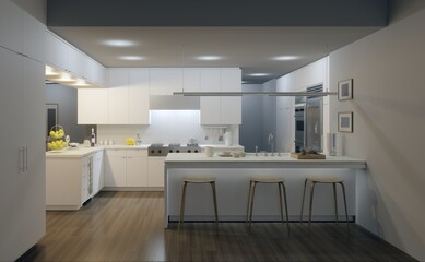 Modern Kitchen Interior Design.