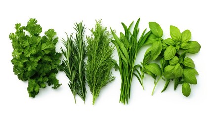 Herb leaves isolated. Generative AI