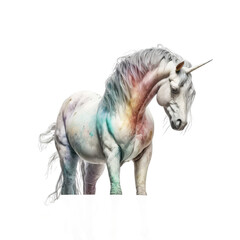 Obraz premium cute unicorn isolated on white