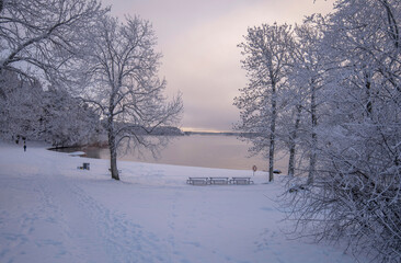 Smoke, fog, over the lake Mälaren at a beach, frost on trees and snow in the Stockholm district Bromma