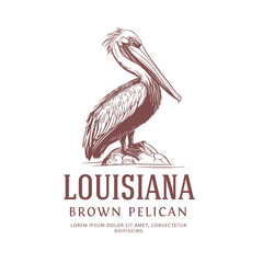 Louisiana State Bird Logo Brown Pelican