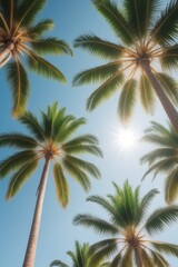 Fototapeta na wymiar Tropical Palm Tree on Paradise Island with Clear Sky and Ocean