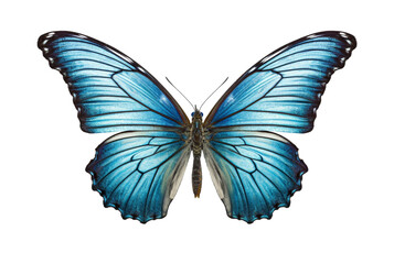 beautiful colorful butterfly isolated transparent background. generative ai