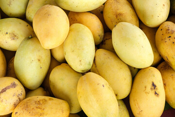 Heap of fresh ripe yellow mangoes at market for sell in Thailand