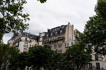 Fototapeta na wymiar Parisian facade on a cloudy day, framed by trees