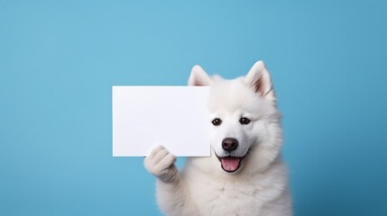 Fototapeta premium Dog Holding A Blank Paper for Copy Space. Advertisement, Content, Information Concept 