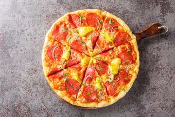 Sliced Pizza with salami, Pepperoncini , mozzarella, herbs and red onions close-up on a wooden...