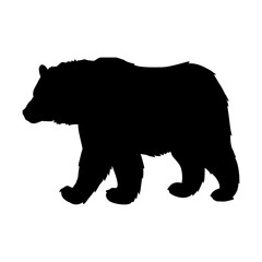 silhouette of a black bear walking