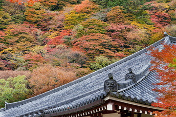 紅葉と寺院の瓦屋根