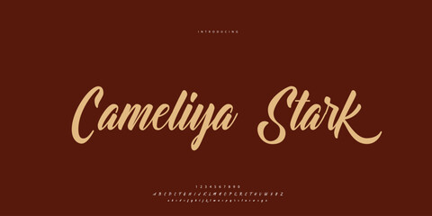 Abstract Fashion font alphabet. Minimal modern urban fonts for logo, brand etc. Typography Calligraphy typeface uppercase lowercase and number. vector illustration
