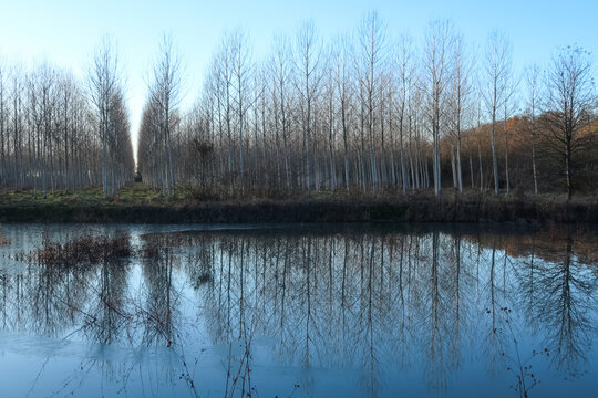 Oxbow small artificial lake Po Valley trees reflection