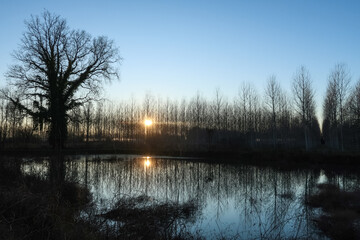 Oxbow small artificial lake Po Valley trees reflection