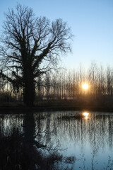 Oxbow small artificial lake Po Valley trees reflection