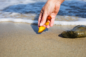 Beautiful pieces of amber in the hand of the sea background. A glowing wavy piece of amber in the palm of your hand. The sunstone.