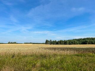 Fototapeta na wymiar Countryside view