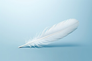 Obraz premium White wing soft quill fluffy softness feather bird background light smooth blue