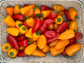 Mini Sweet Peppers