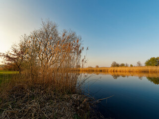 Obraz premium Großer Wörthsee und Sichelsee im Naturschutzgebiet Mainaue bei Augsfeld, Stadt Haßfurt, Landkreis Hassberge, Unterfranken, Franken, Bayern, Deutschland